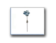 Plants: image 1 0f 4 thumb